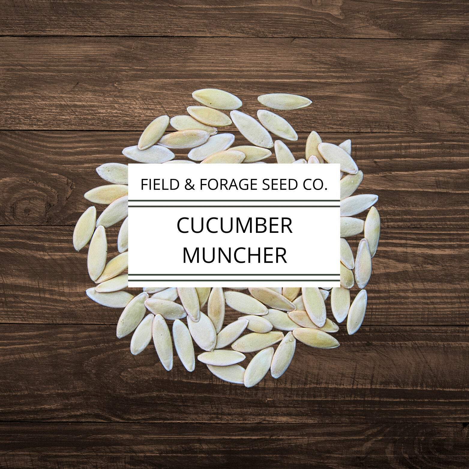 Cucumber Muncher | Cucumis sativus ‘Muncher’ | Sweet, Burpless Heirloom | Non-GM