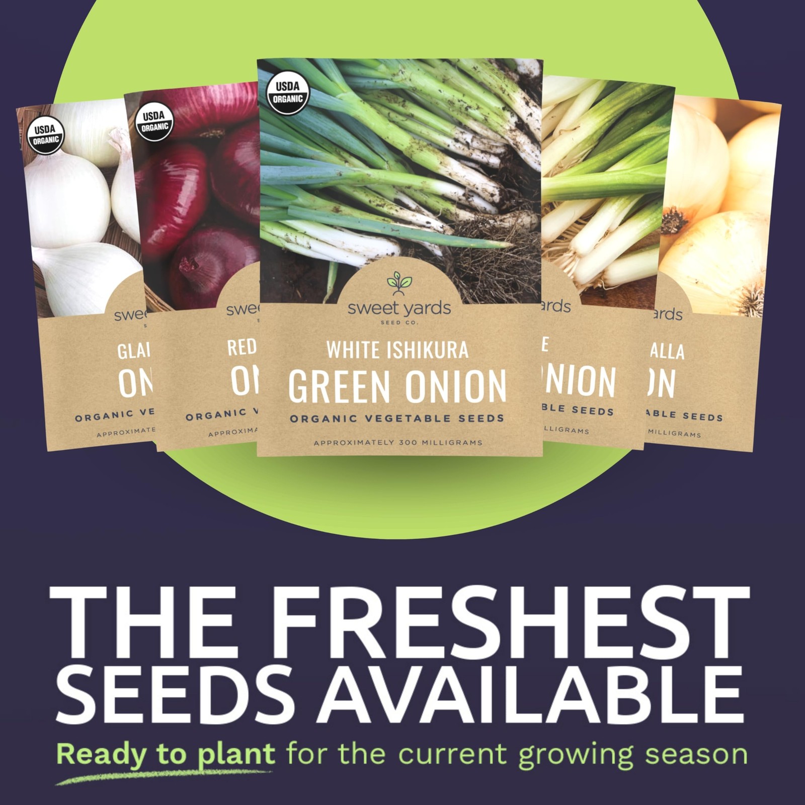 Organic Onion Seeds Variety Pack – 6 Individual Packs – 2025 Season –