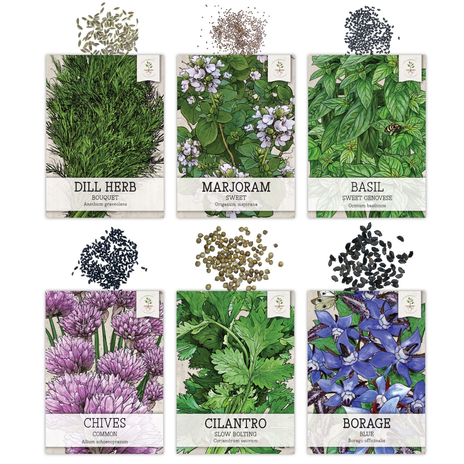 Culinary Herb Seed Collection for Planting an Indoor / Outdoor Herb Garden