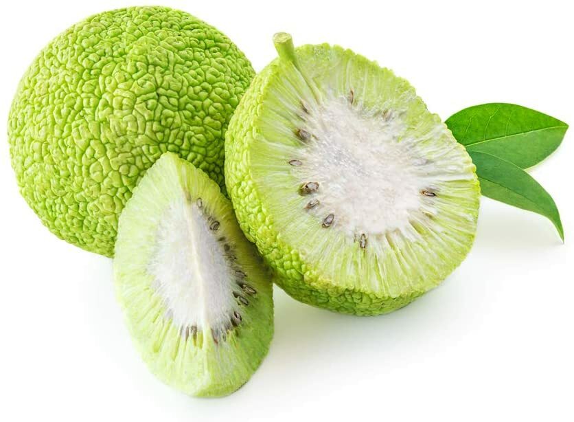 20 Osage Orange Tree Seeds Exotic Fruit Tree