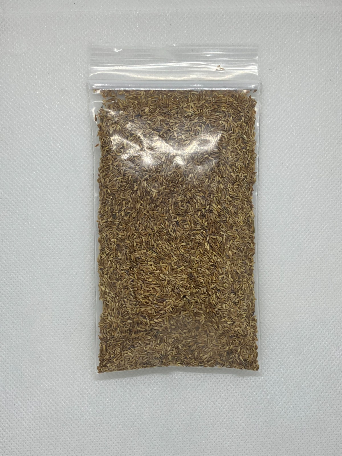 Zenith Zoysia 12,000+ Grass Seeds for a Healthy, Low-Maintenance Lawn ~ 1 ounce