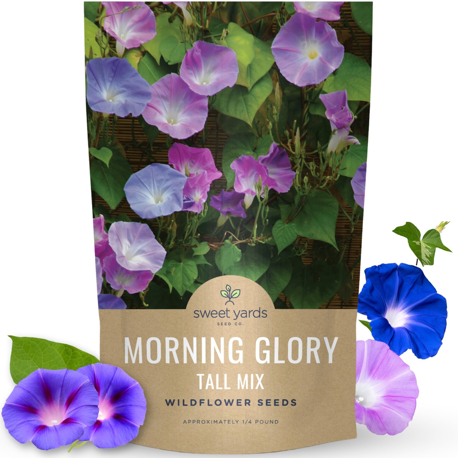 1/4 Pound Morning Glory Tall Mix Pouch 3000 Flower Seeds Ipomoea Purpurea
