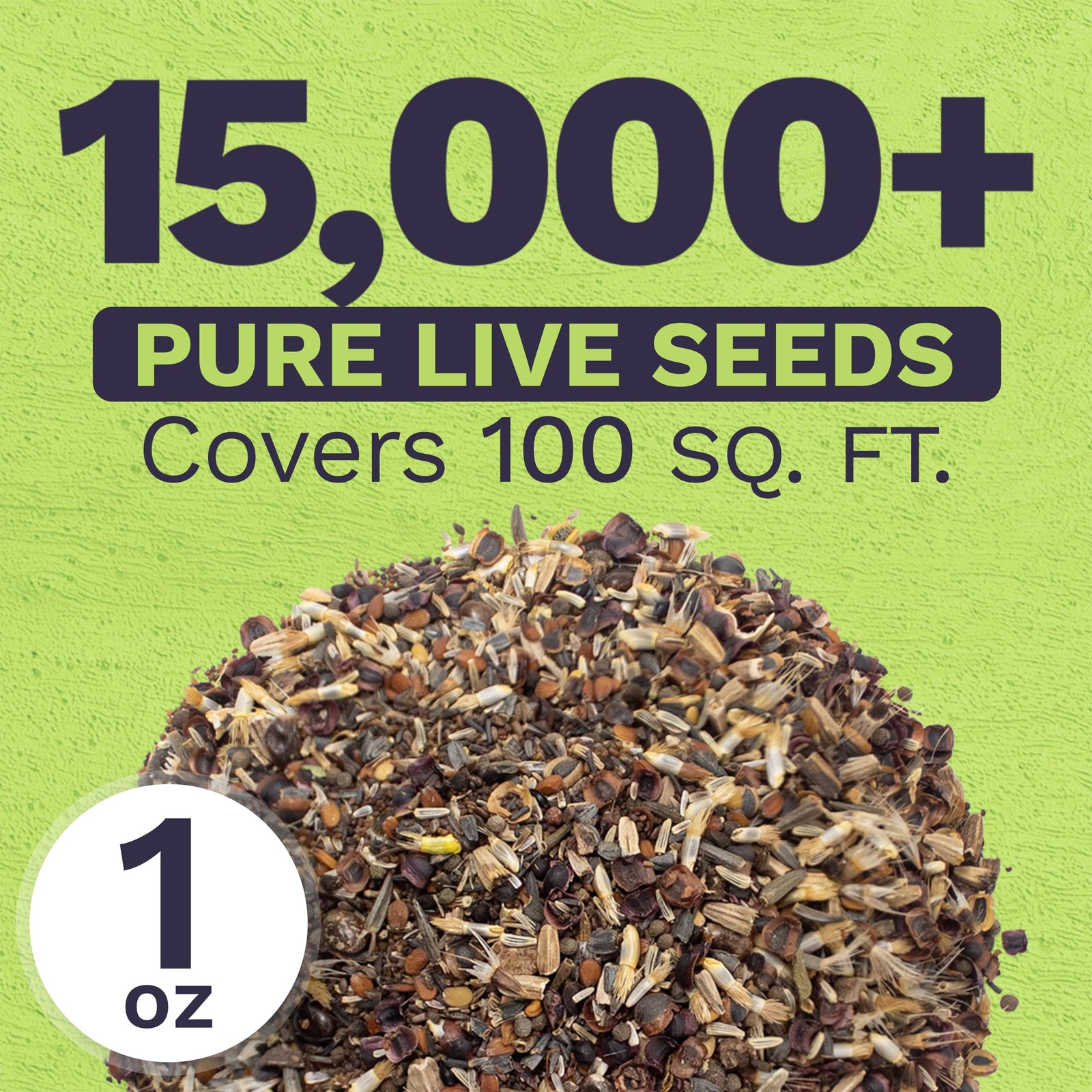 Deer Resistant Wildflower Seed Mixture – Bulk 1 Ounce Packet – Over 15,000 De…