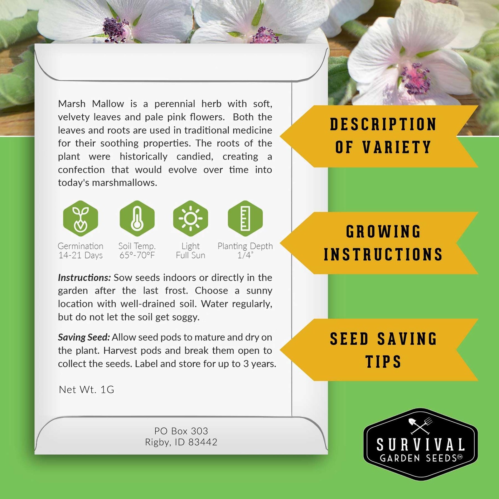 Marshmallow Seeds for Herb Garden – Non-GMO Medicinal Planting Kit (3 Pack)