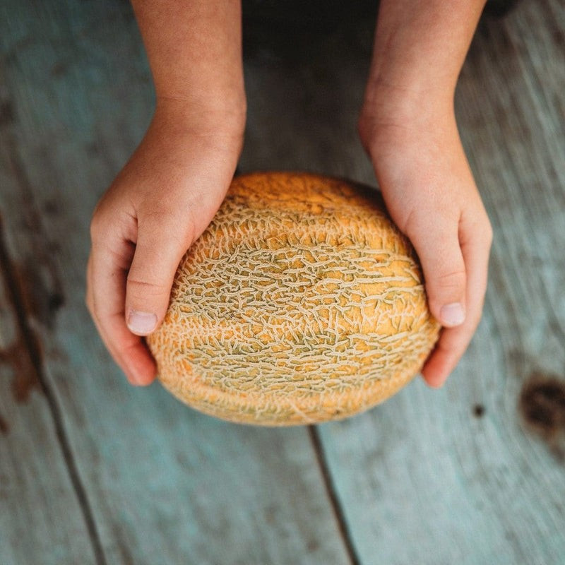 30 Minnesota Midget Melon Seeds- With Bonus! |Organic Non-GMO Heirloom