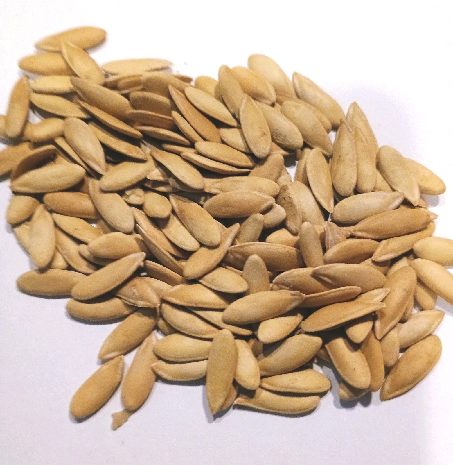 Green Sweet HoneyDew Melon seed NO-GMO seeds garden Heirloom