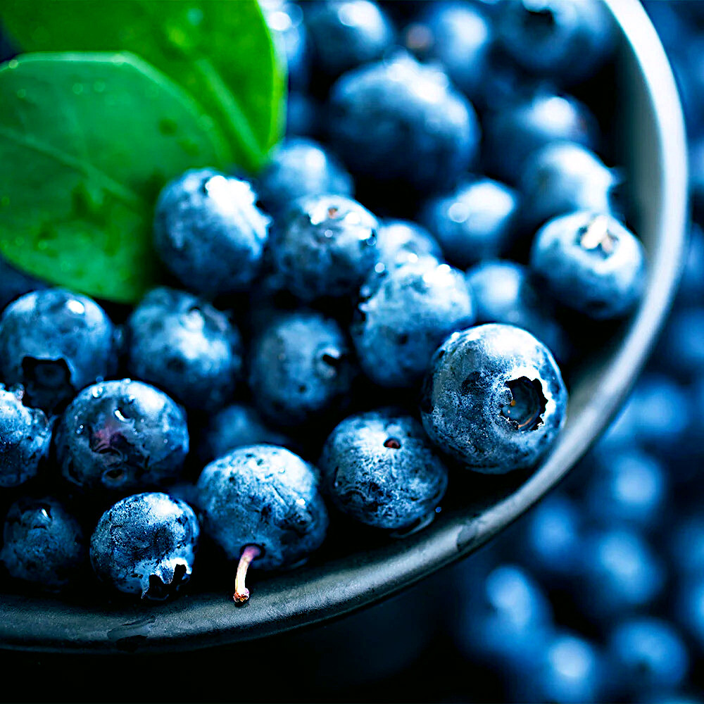 BLUEBERRY TREE SEEDS New Jersey Southern Highbush Cold Hardy Garden Fruit Plant