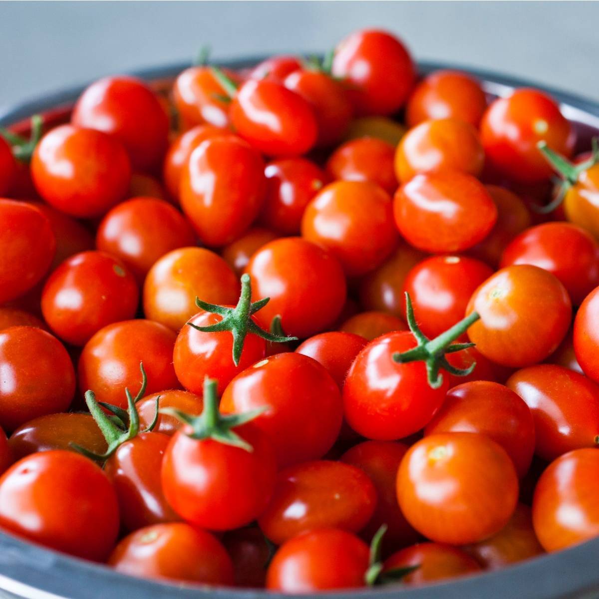 Sweetie Tomato Seeds 100 Ct Cherry Tomato Vegetable USA HEIRLOOM INDETERMINATE