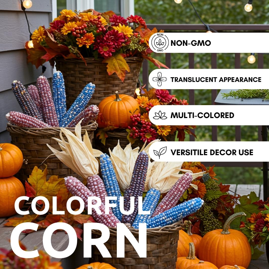 Vibrant Glass Gem Corn Seeds – 125+ NonGMO Heirloom Seeds for Gardening &