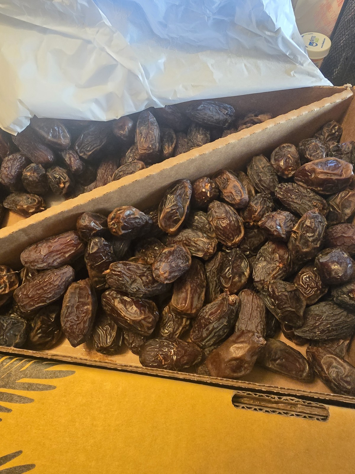 Medjool Dates 50 SEEDS ONLY