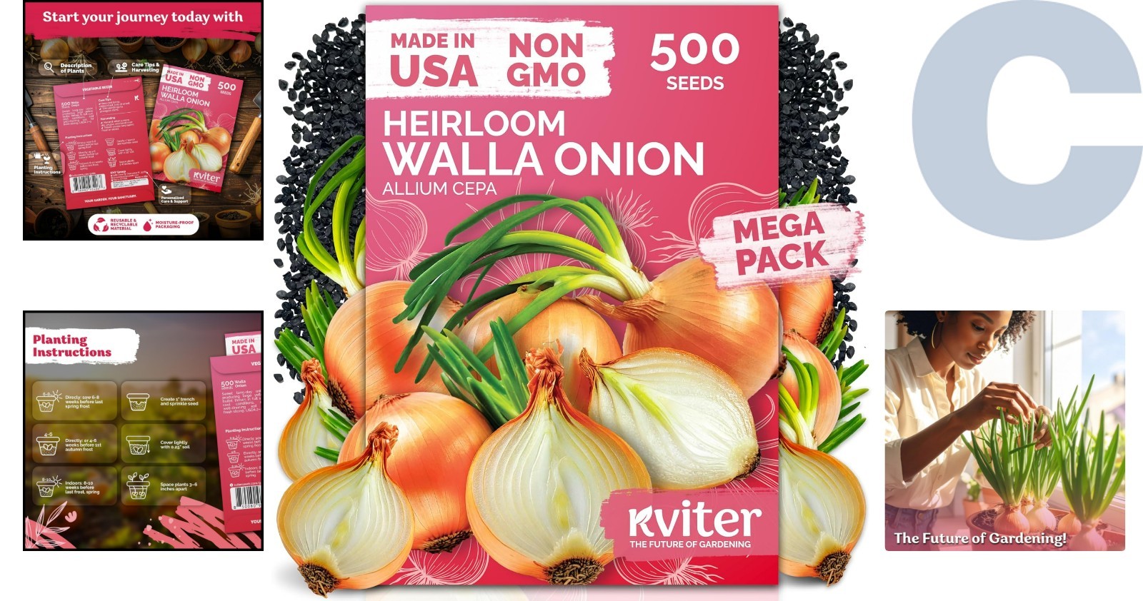 Cold-Hardy Walla Walla Onion Seeds – 500 Count Non-GMO Heirloom for Gardens