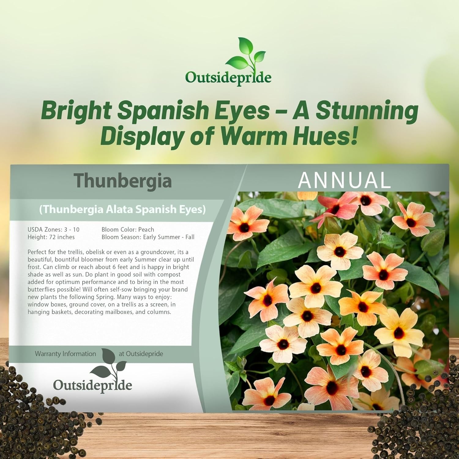 20 Seeds Black-eyed Susan Thunbergia Alata Spanish Eyes Vines Plant Seeds