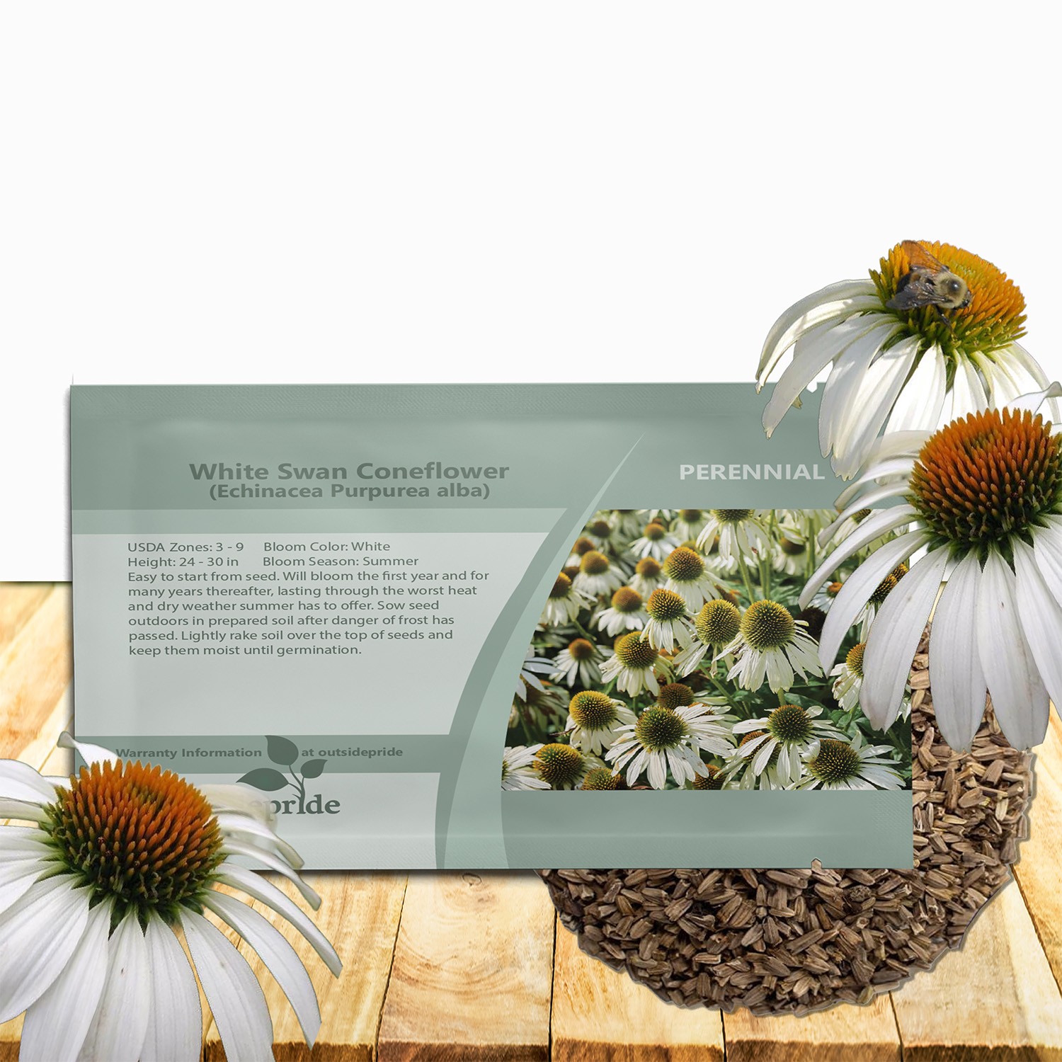 1000 Seeds Echinacea Drought Tolerant White Swan Coneflower Garden Flower Seed