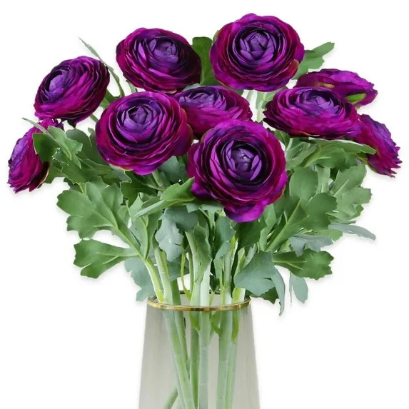 Purple Ranunculus Flowers 14 Bulbs Peony Rose Corms Wedding Flower Garden Plants