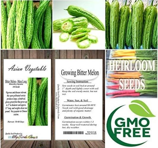 Mara Long Variety Bitter Melon – 100 Non-GMO Seeds