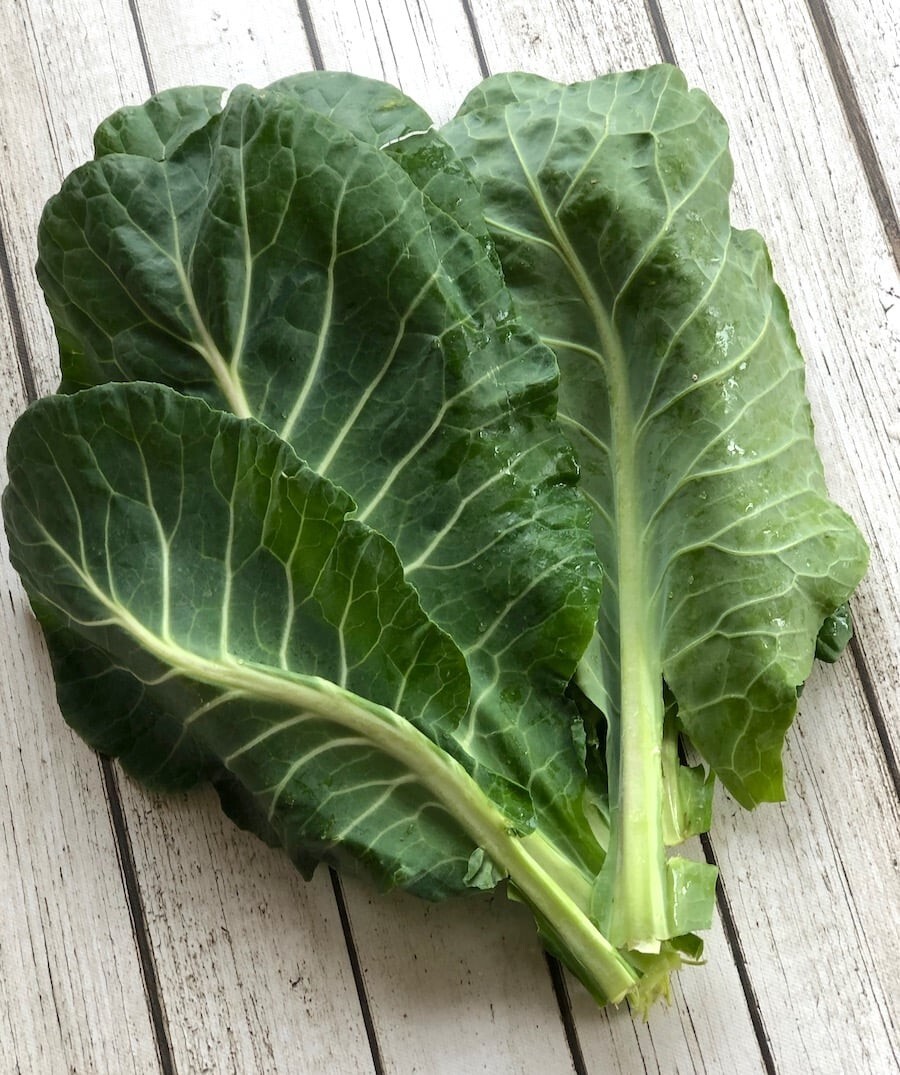 100 Morris Heading Collard Seeds Non-GMO Heirloom | Fresh Seeds free shipping