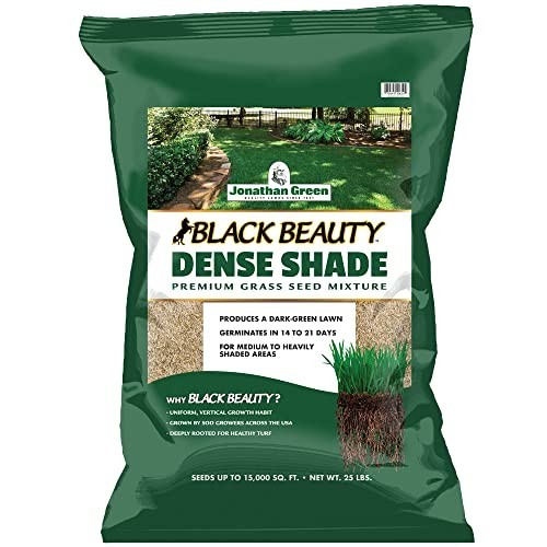 Dense Shade Grass Seed for Cool Season Lawns – 25 lb Black Beauty Blend