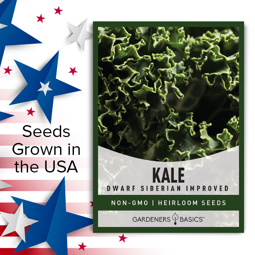 Dwarf Siberian Improved Kale Seeds