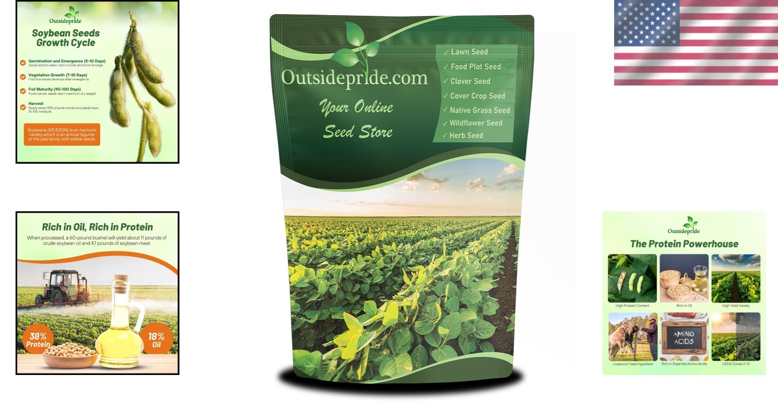 High-Protein Heirloom Soybean Seeds – 10 lbs