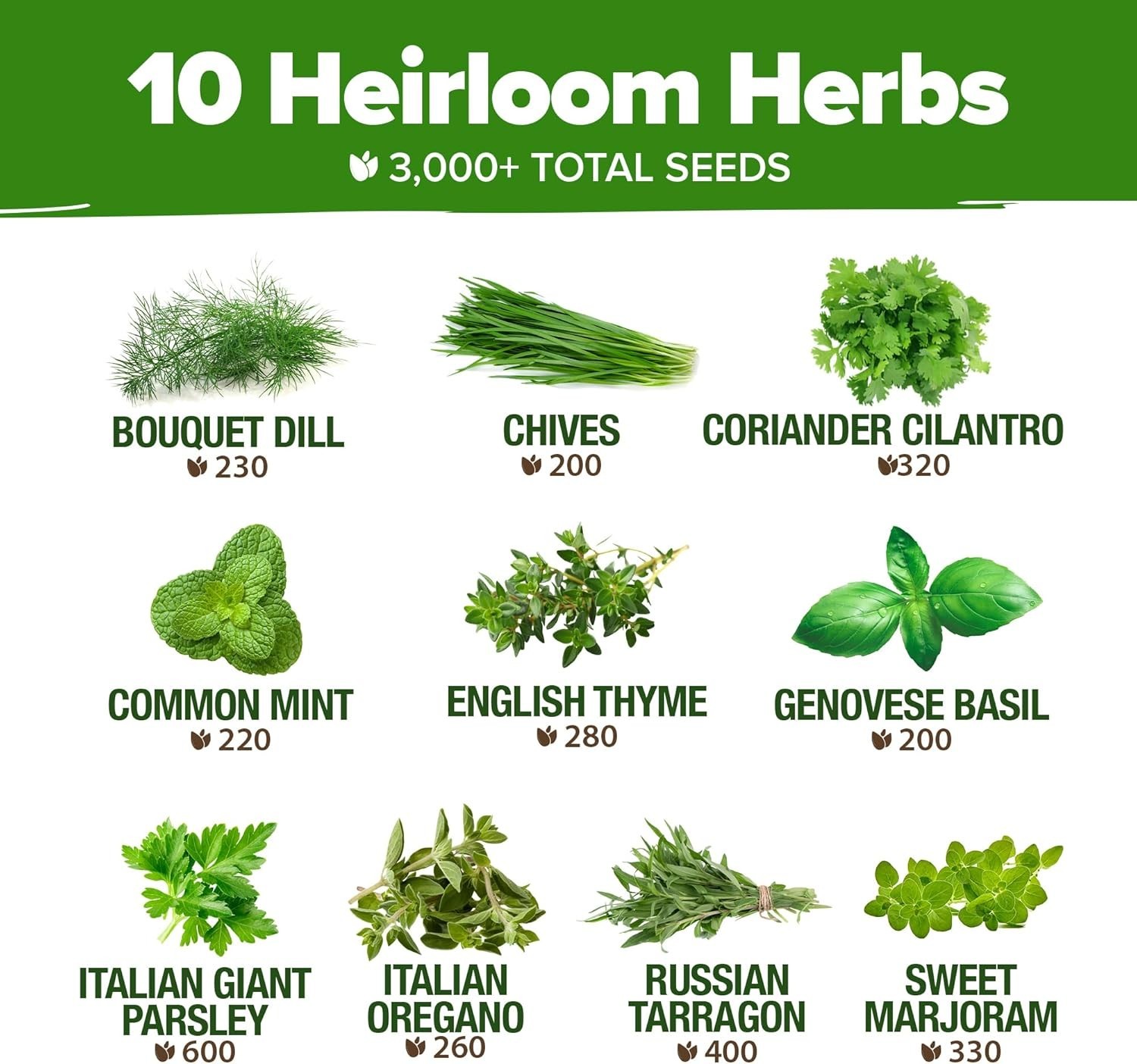 Culinary Herb Seed Vault with 3,000+ Seeds: Indoor/Outdoor Growing Essentials