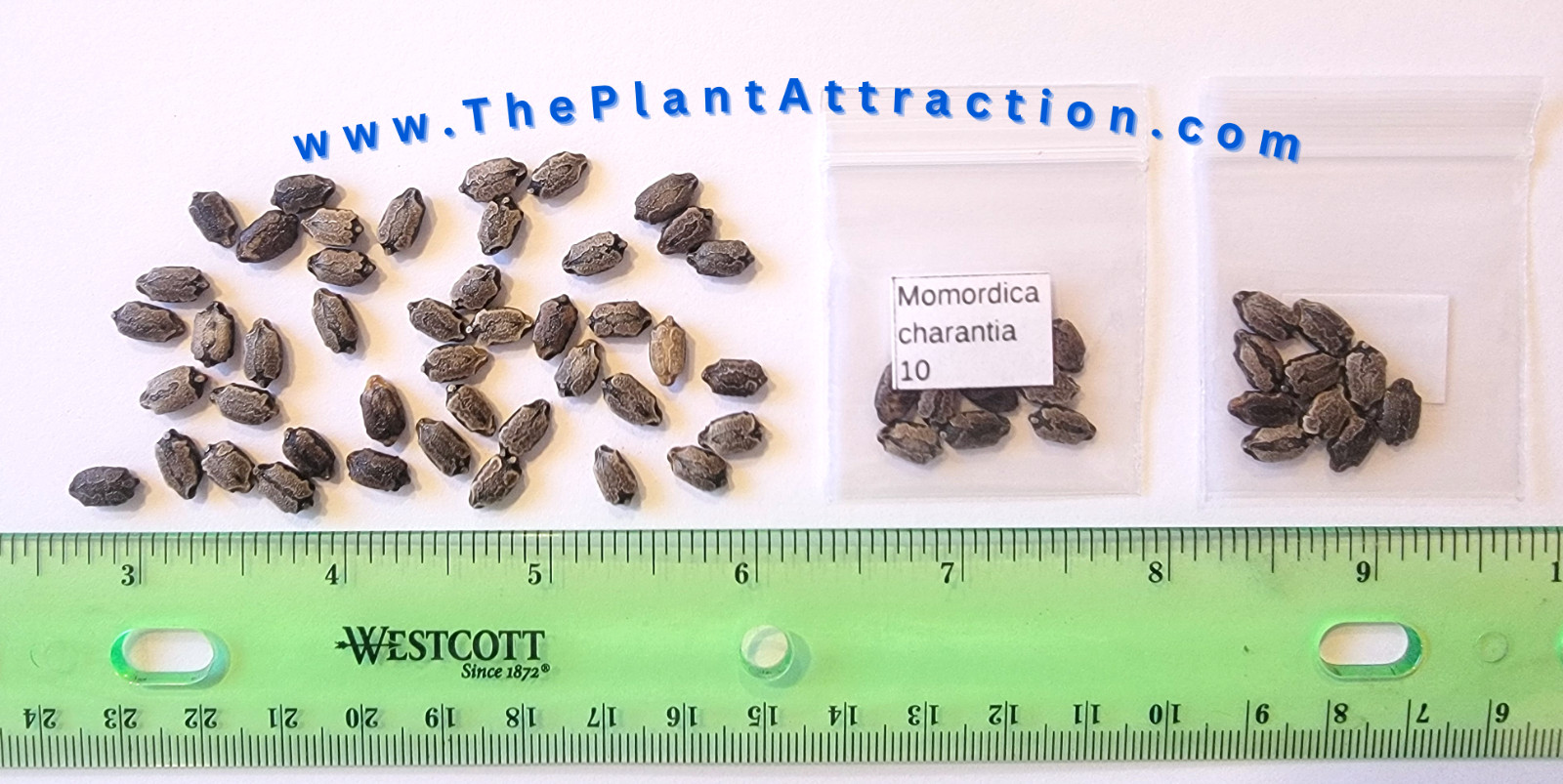 Momordica charantia Vine 10 Seeds, Balsam Pear Mini Bitter Gourds
