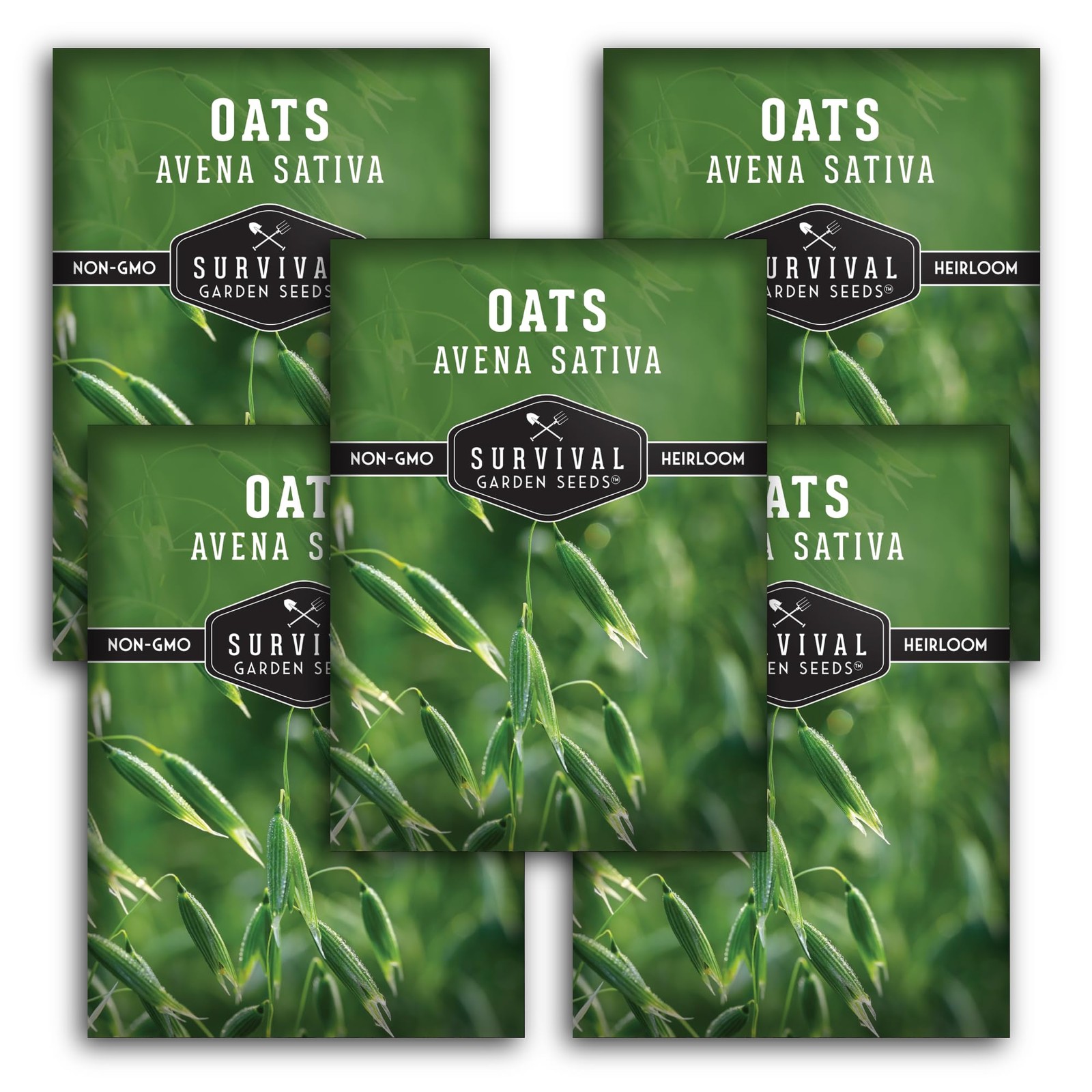 Heirloom Oat Seeds for Planting Medicinal Herb, Tea, & Cover Crops 5 Packs