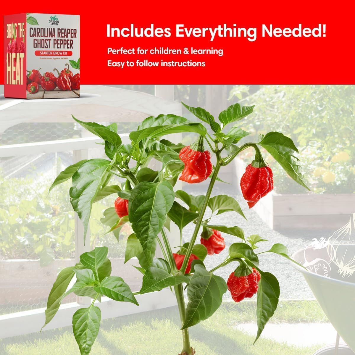 Carolina Reaper Ghost Pepper Grow Kit – All in One Starter Grow Kit – Bhut Jolok