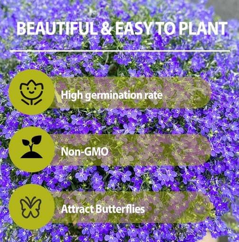 5200+ Perennial Mixed Lobelia Seeds for Planting-Non-Gmo Heirloom Lobelia Ground