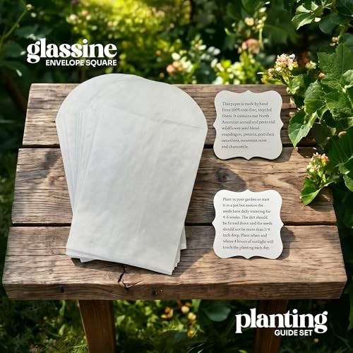 Heart Seed Paper Set of 24 Writable Plantable Wildflower with Envelopes