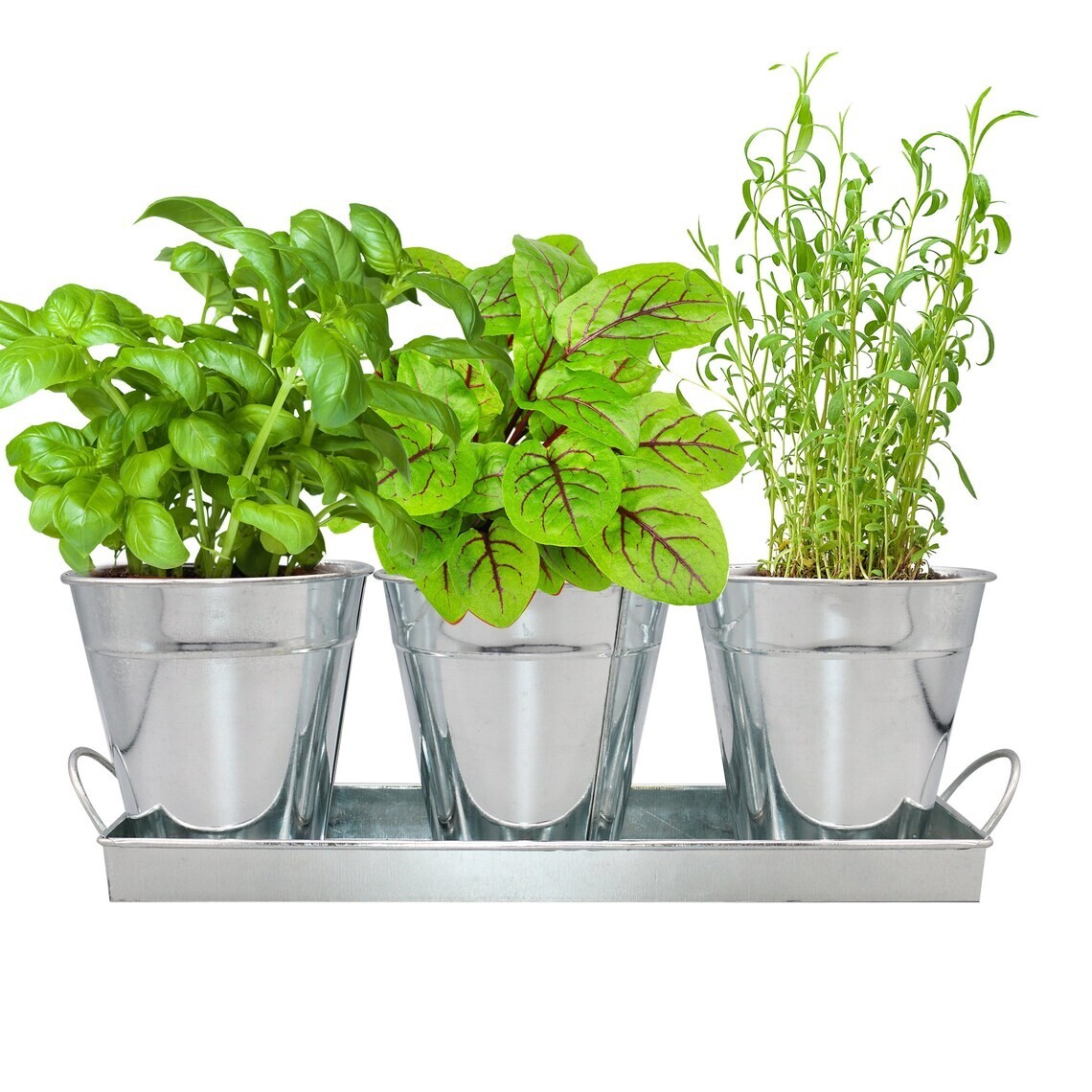 Herb Garden Kit