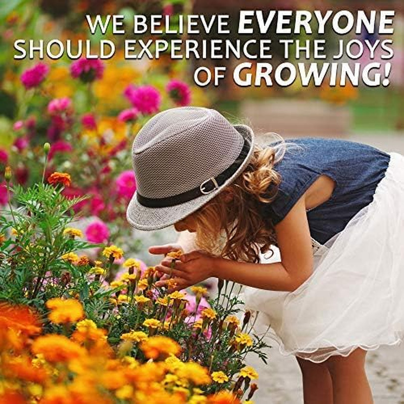 Rocky Mountain Wildflower Seeds Mix – 1 Lb Seed Pouch – 22 Wild Flower Seed Vari
