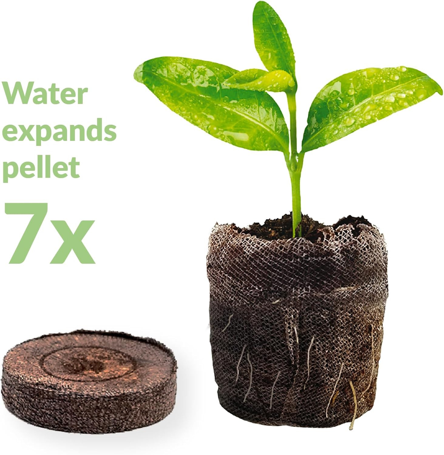 Plant Starter Pellets – Seedling Pellets, 50 Mm Peat Pellets, 80 Count – Peat