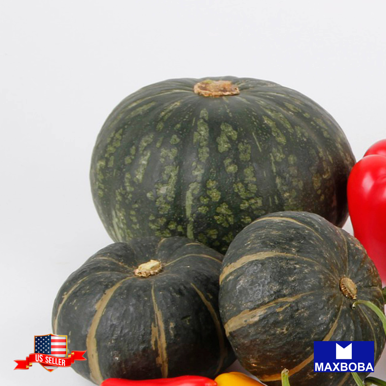 Fresh!!Squash Seeds – Winter – Burgess Buttercup Non-GMO Heirloom Vegetable