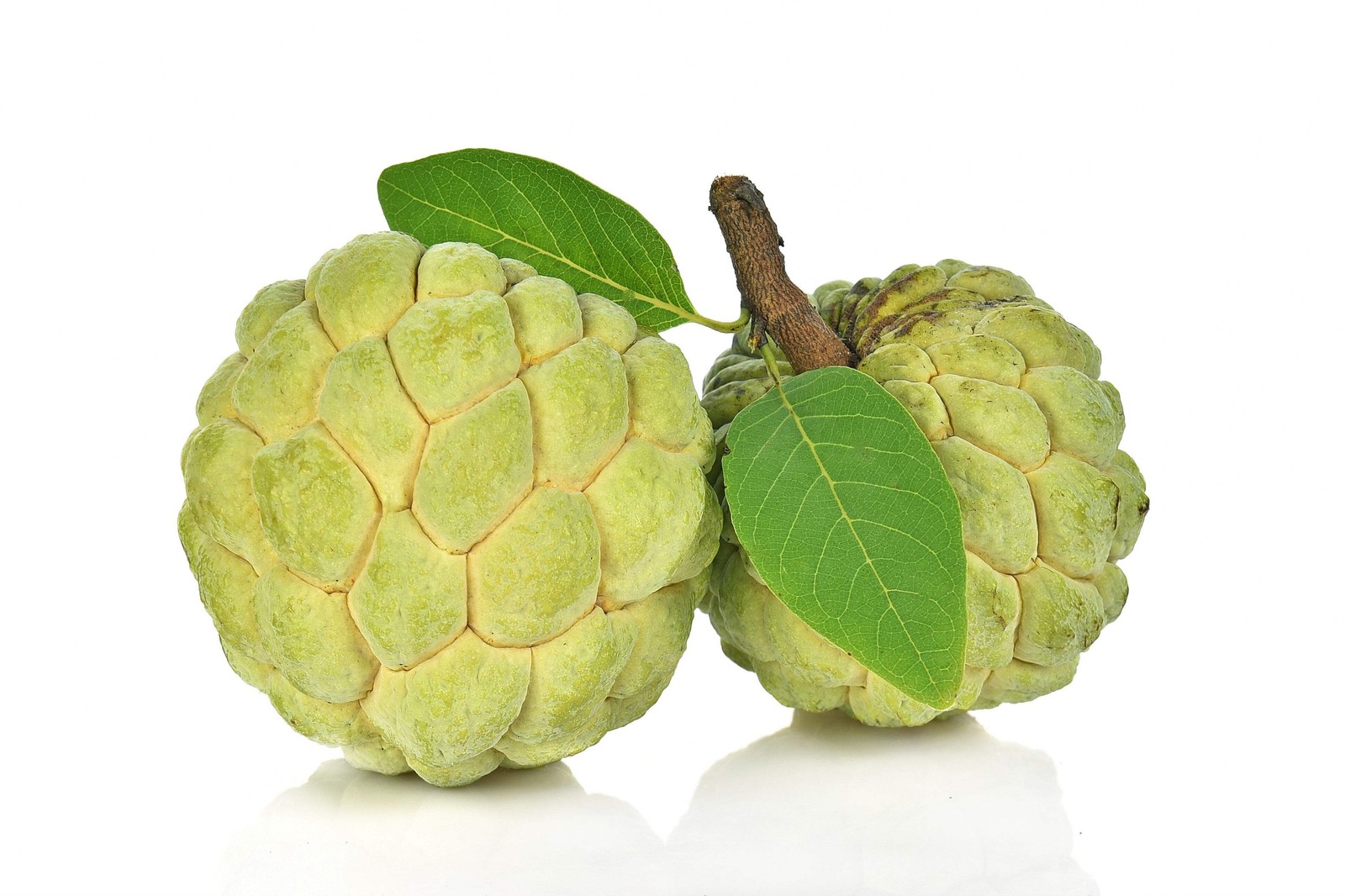 15 SUGAR APPLE Sweetsop Custard Apple Annona Squamosa Sweet Delicious Edible Fru