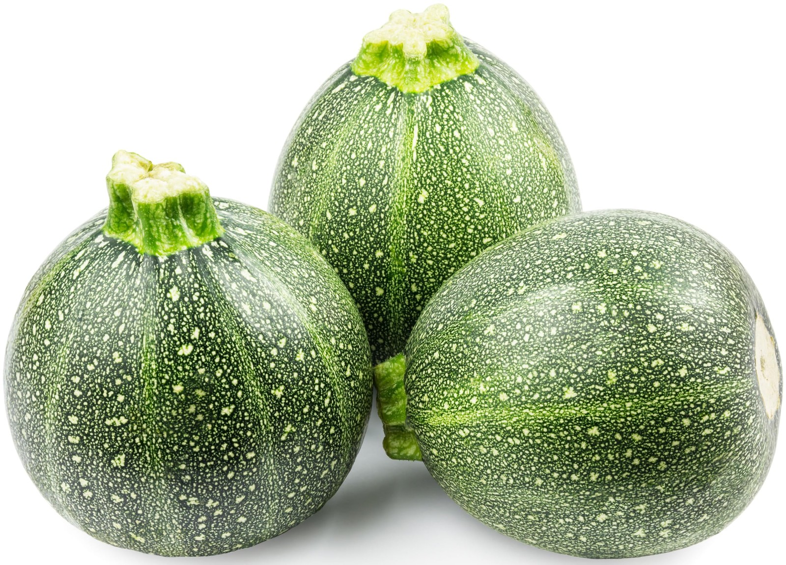 Round Zucchini Seeds for Planting – Heirloom, Non-GMO, USA Grown Seeds in Pre…