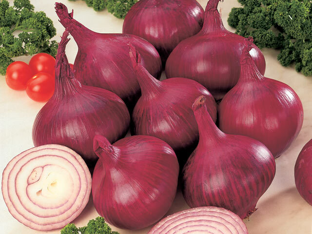 #4 Heirloom Vegetable 150+ seeds 6 Variety Garden Set Emergency Survival NON-GMO