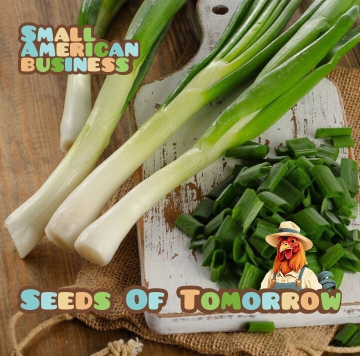 250 Organic Non-GMO Tokyo Long Bunching Green Onion Seeds- Seeds Of Tomorrow