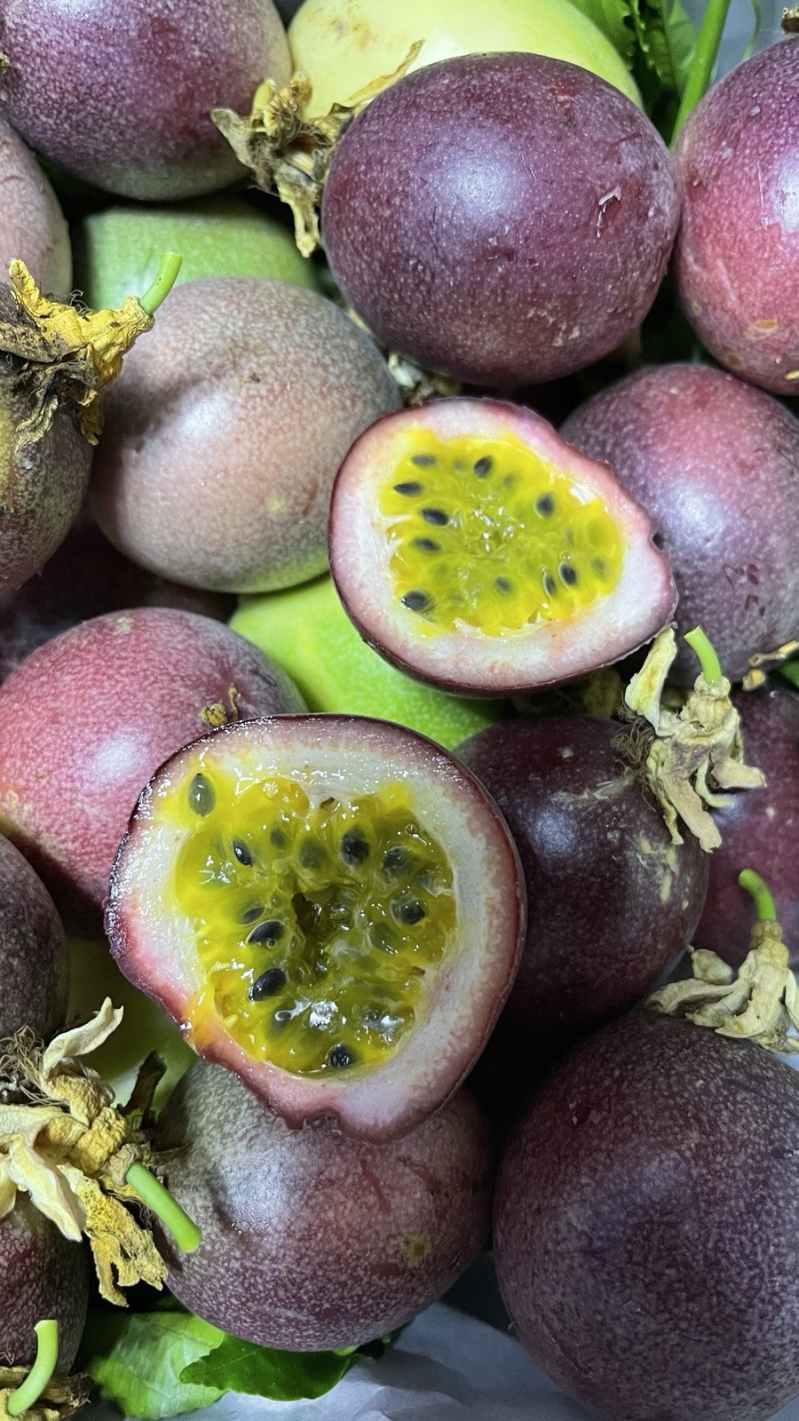 Fresh Passion Fruits 5LBS