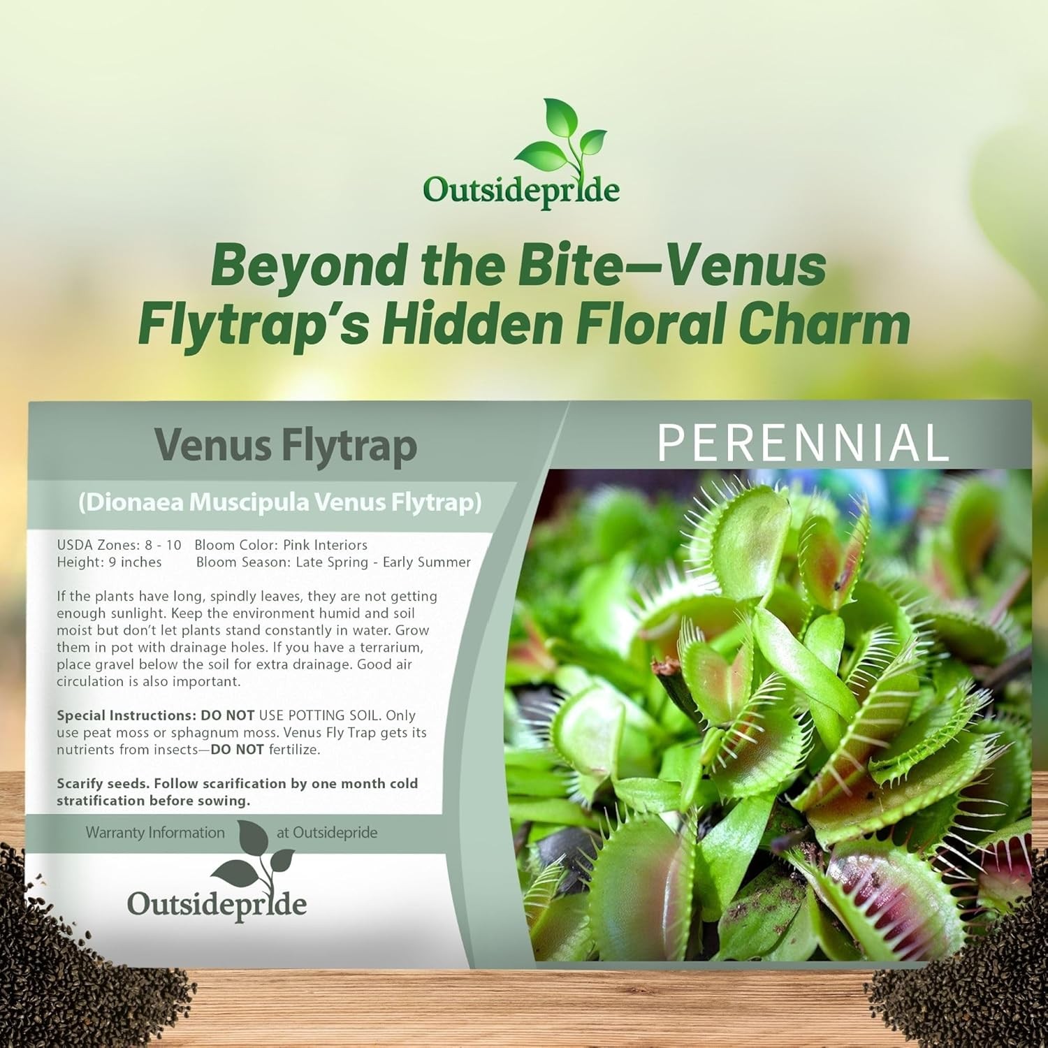 10 Seeds Venus Flytrap Seeds For Planting – Dionaea Muscipula