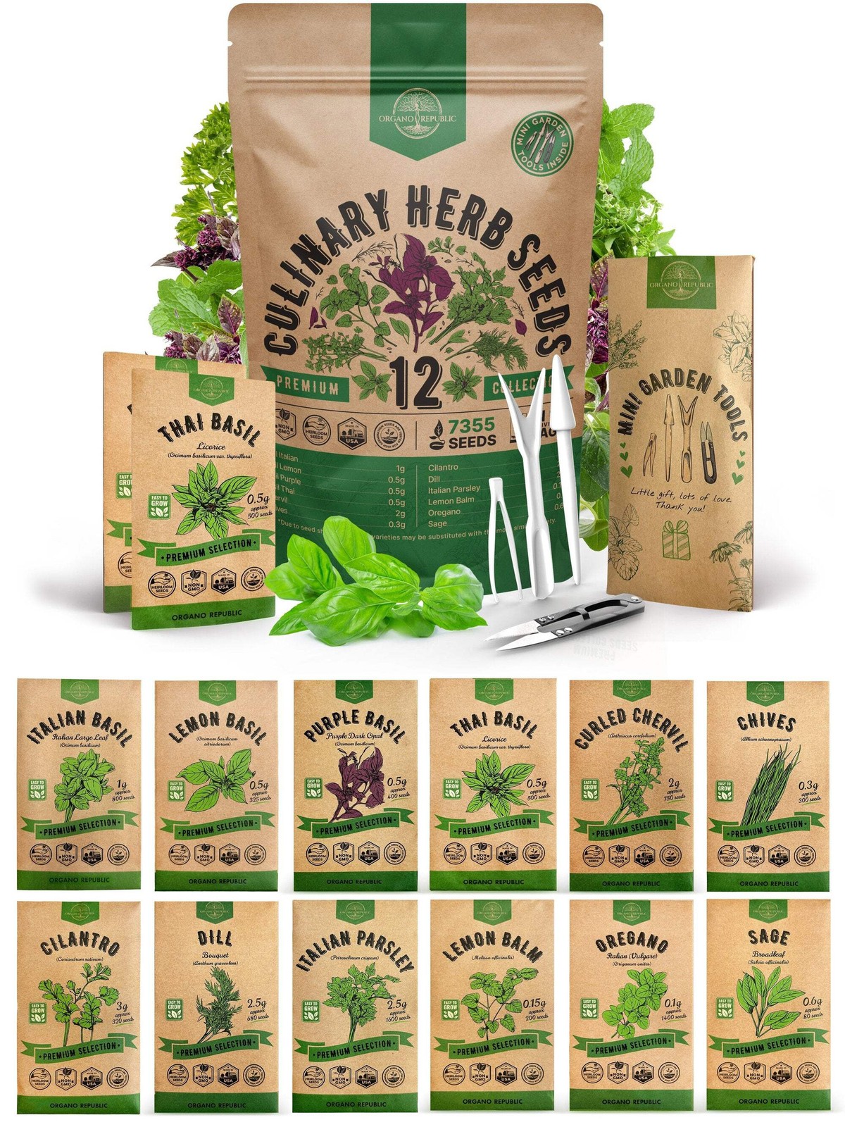 12 Culinary Herbs Seeds Variety Pack