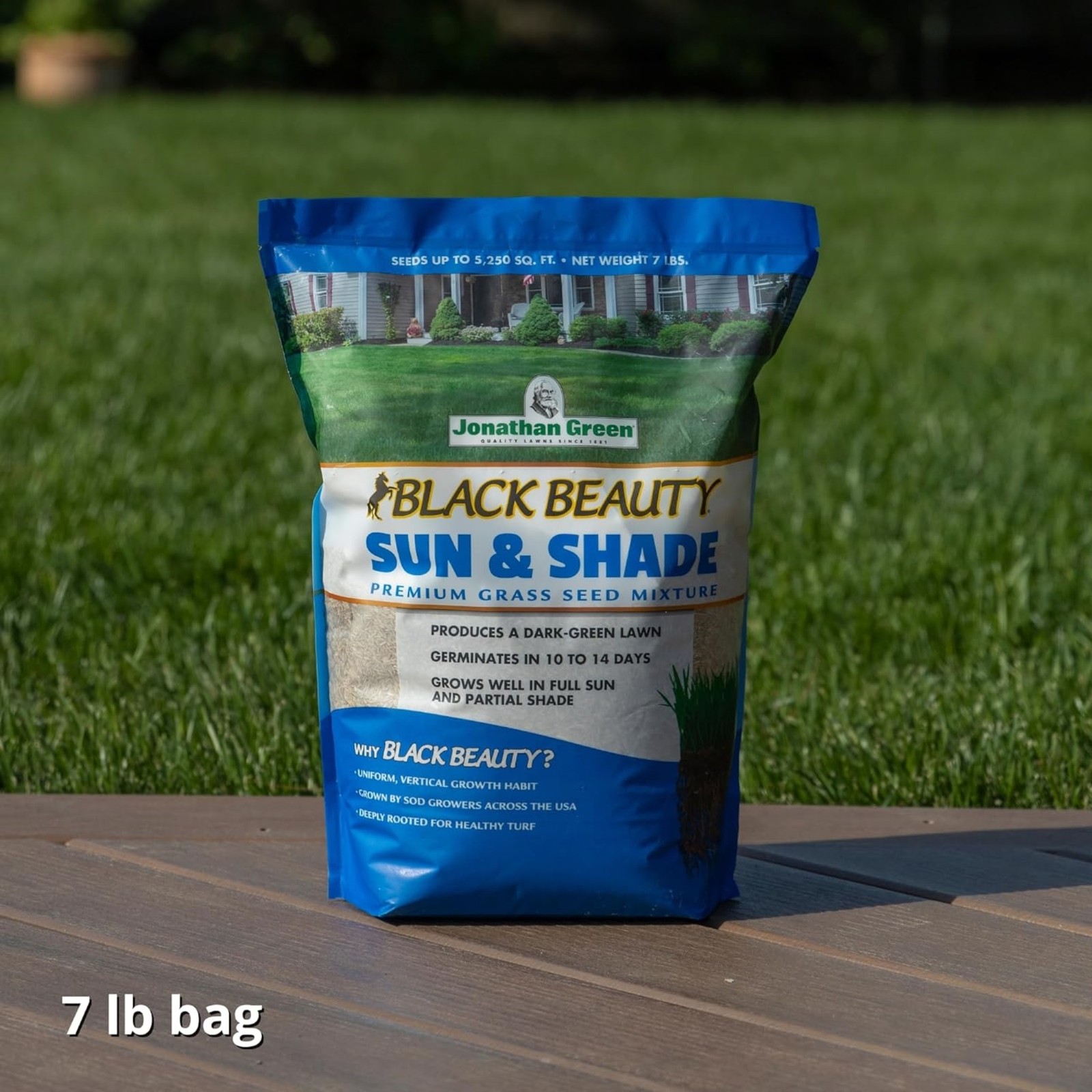 Jonathan Green Black Beauty Sun & Shade Grass Seed, 7lb bag