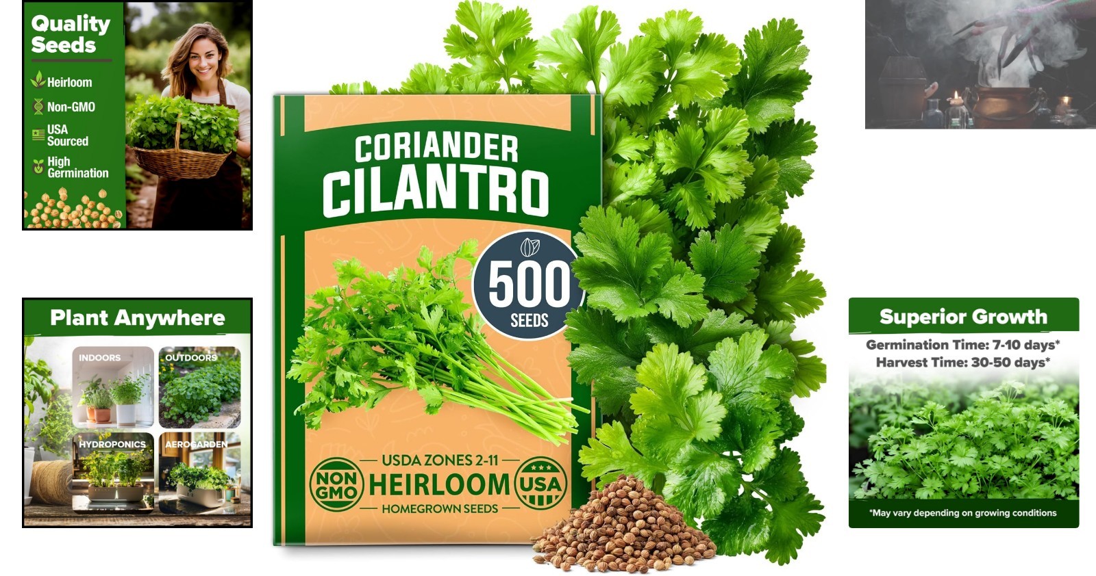 Indoor & Outdoor Heirloom Cilantro Seeds – Practical Gift for Plant Lovers
