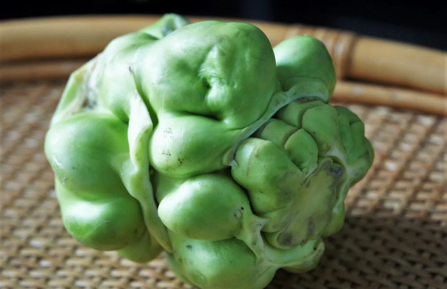 Chinese Stem Mustard Tuber Seeds (Zha Cai) | 搾菜 Swollen Knob Tsa Tsai Seed 2024