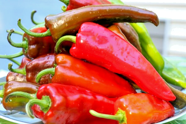 Peppers Hot Chili Cayenne Thin – Anaheim Chili – Cayenne Piñata Blend, non GMO