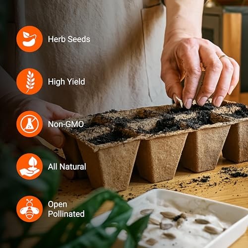 | 4,000 Heirloom Seeds | 12 Variety Pack of Herb Seeds | 2026 12 pack Herb Kit