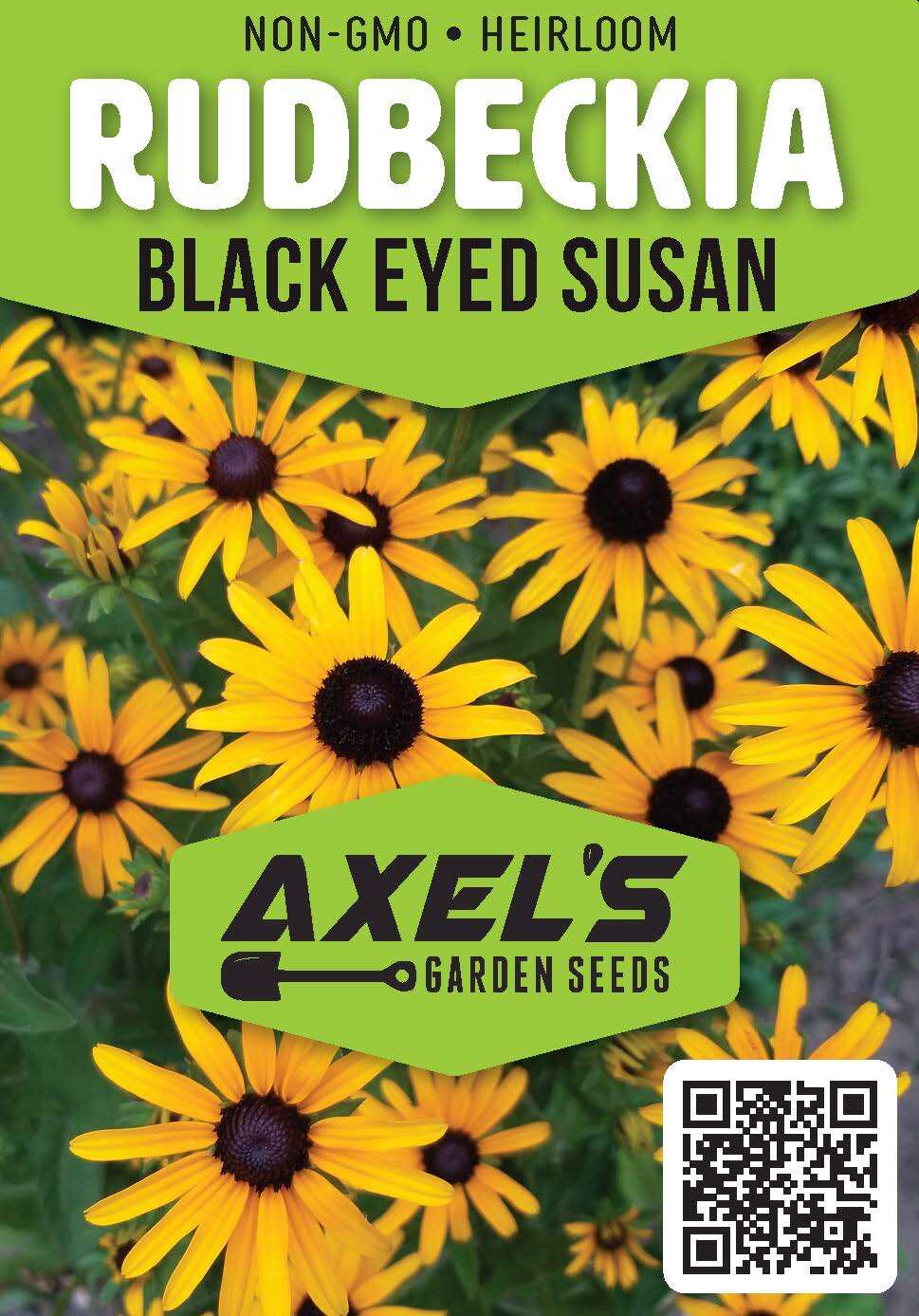 Black Eyed Susan Seeds – Heirloom Perennial Non-GMO Flower Rudbeckia Seeds