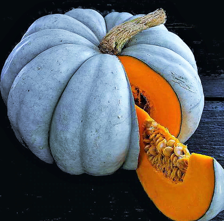 Jarrahdale Blue Pumpkin Seeds | Jarradale Queensland Cinderella Doll 2023 NEW