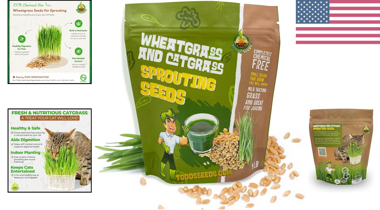 1lb Pet-Safe Wheatgrass for Cats – Todd’s Non-GMO Grass, Easy Indoor Growing
