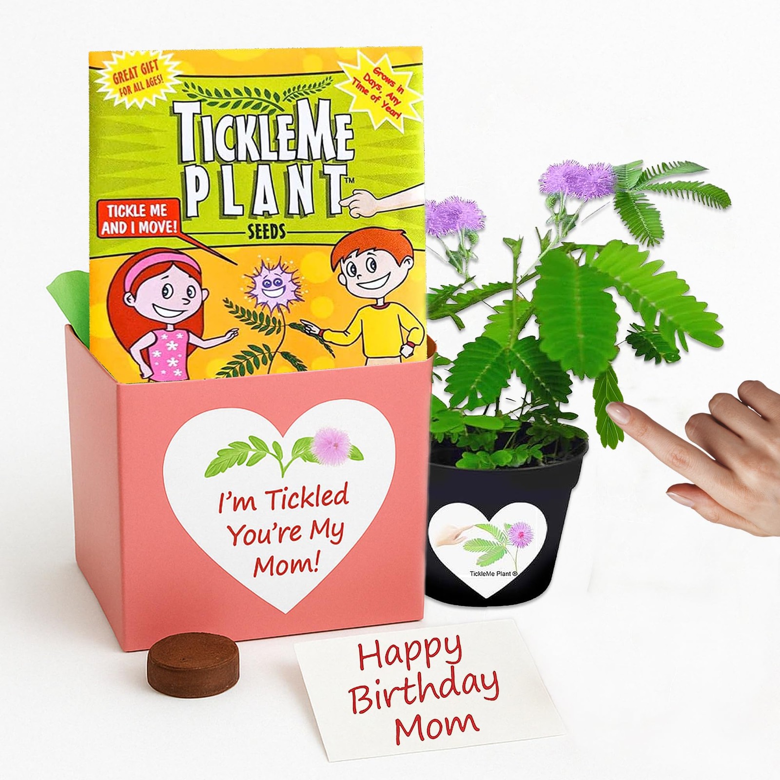 I’m Tickled You’re My Mom Happy Birthday Mom Gift Box Tickle Me Plant Set
