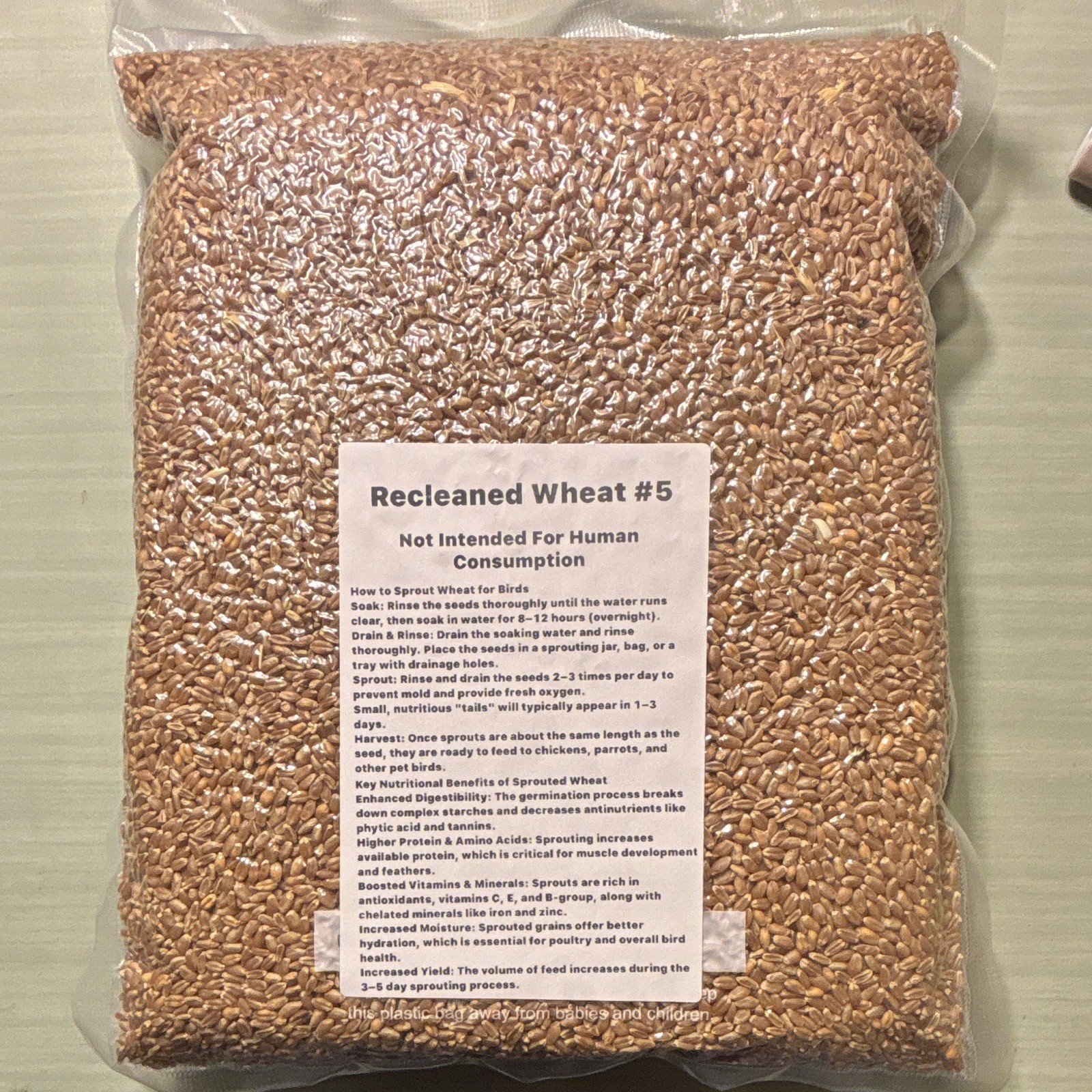 Recleaned Wheat Seeds 10LB For Sprouting & Bird Feed Great For Chicken